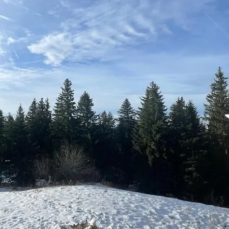 A 50m Des Pistes 4/6 * Chamrousse